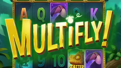 multifly